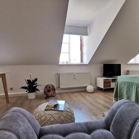 Fynbos Apartments In Der Altstadt, Frauenkirche, Historisch, Parkplatz Meißen Exterior foto