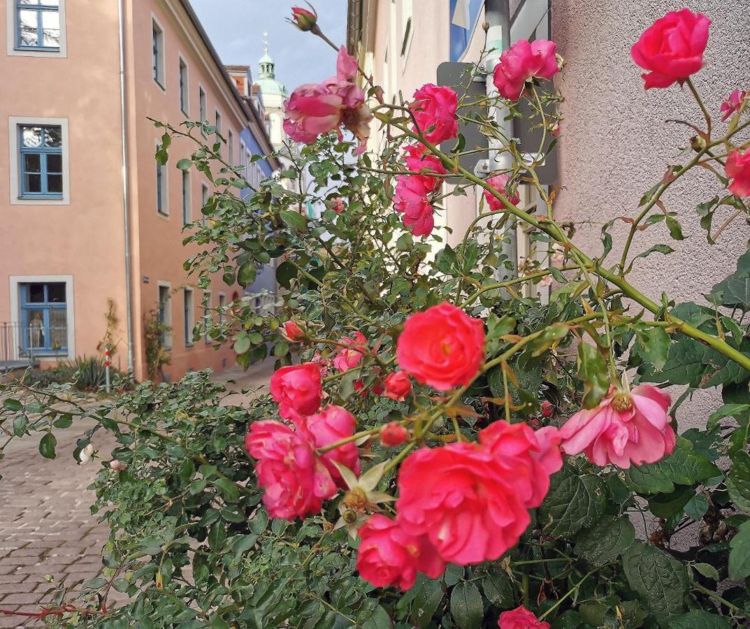 Fynbos Apartments In Der Altstadt, Frauenkirche, Historisch, Parkplatz Meißen Exterior foto